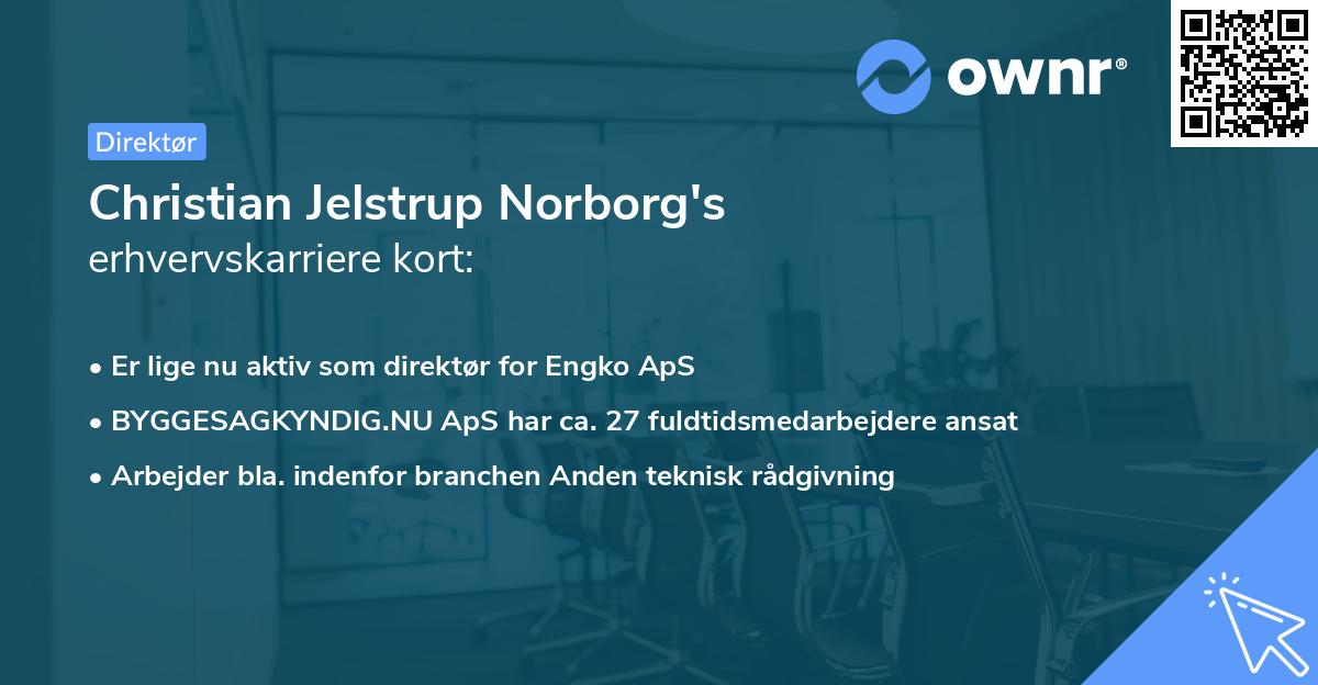 Christian Jelstrup Norborg's erhvervskarriere kort