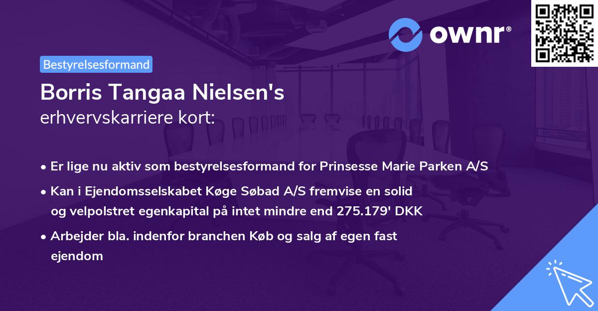 Borris Tangaa Nielsen's erhvervskarriere kort