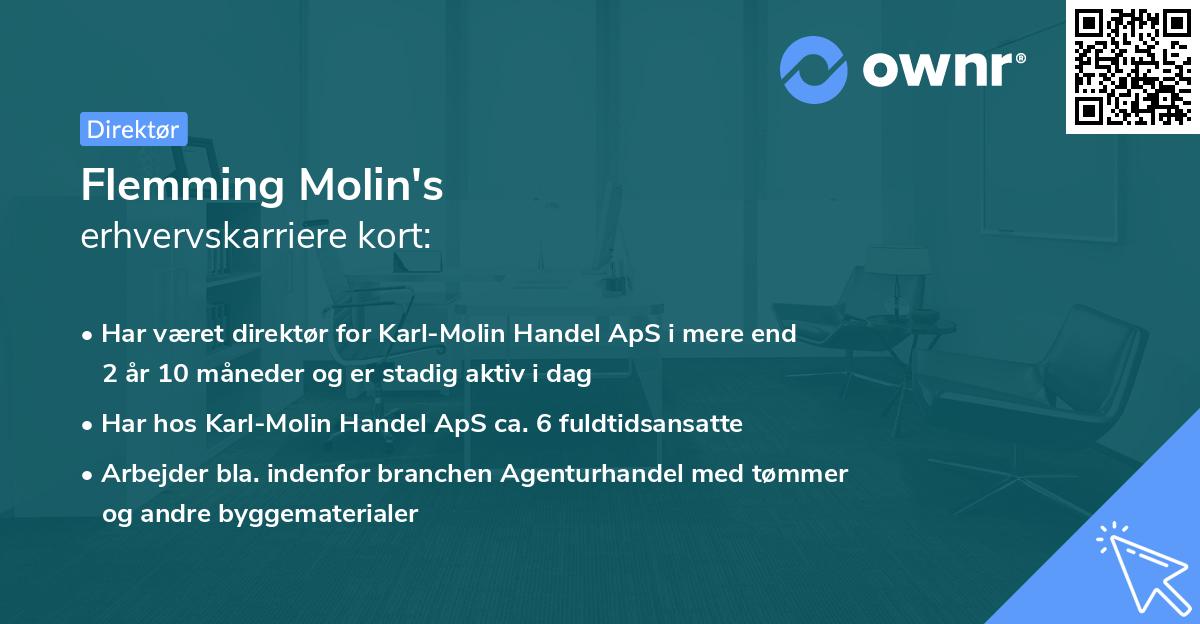 Flemming Molin's erhvervskarriere kort