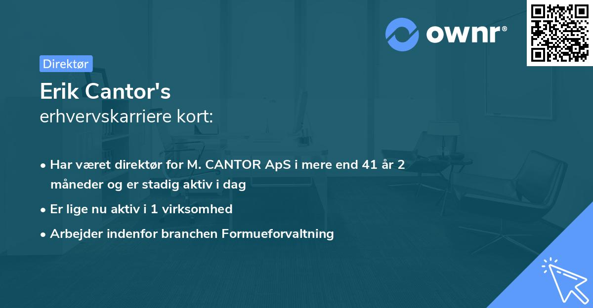 Erik Cantor's erhvervskarriere kort
