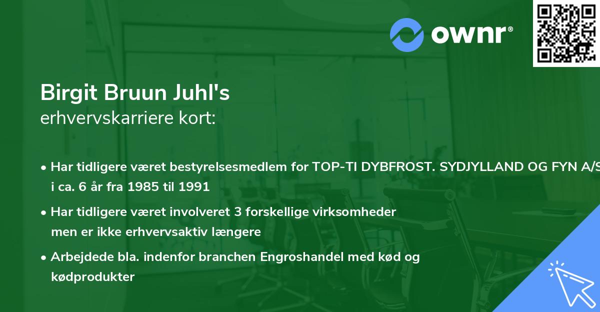 Birgit Bruun Juhl's erhvervskarriere kort