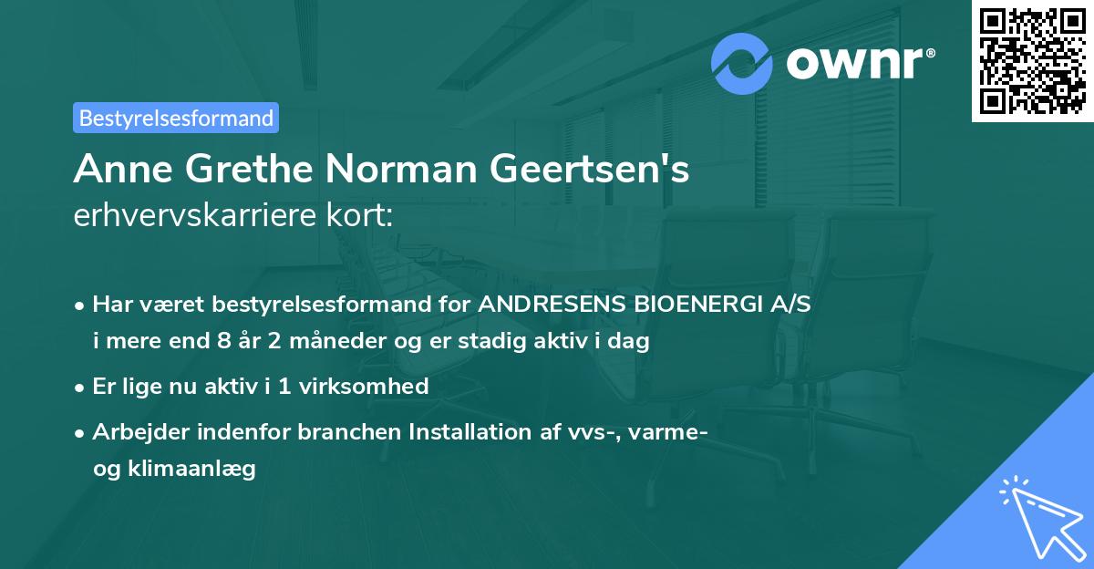 Anne Grethe Norman Geertsen's erhvervskarriere kort