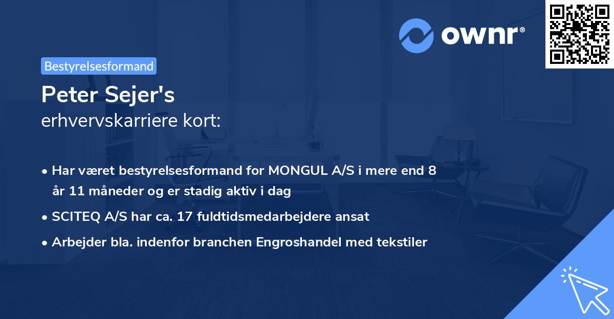 Peter Sejer's erhvervskarriere kort