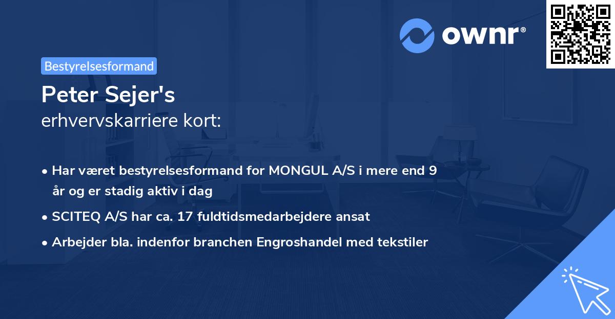 Peter Sejer's erhvervskarriere kort