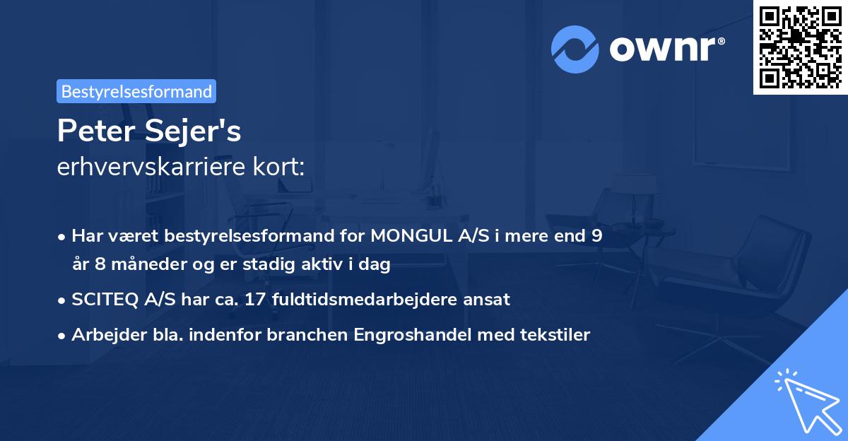 Peter Sejer's erhvervskarriere kort