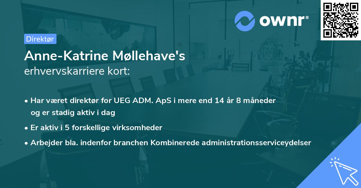 Anne-Katrine Møllehave's erhvervskarriere kort