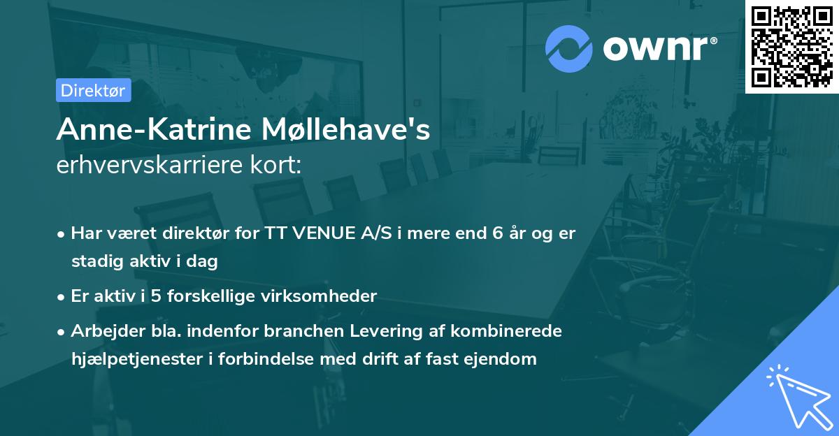 Anne-Katrine Møllehave's erhvervskarriere kort