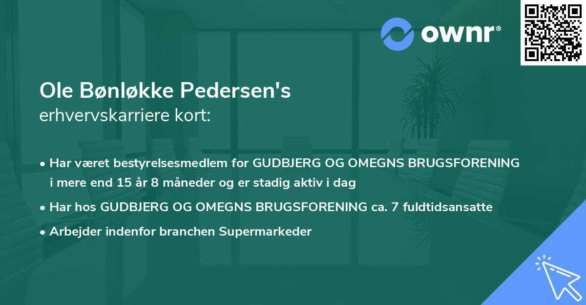 Ole Bønløkke Pedersen's erhvervskarriere kort