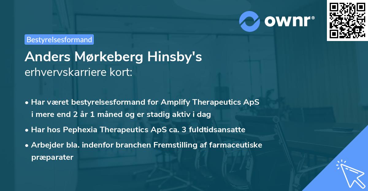 Anders Mørkeberg Hinsby's erhvervskarriere kort