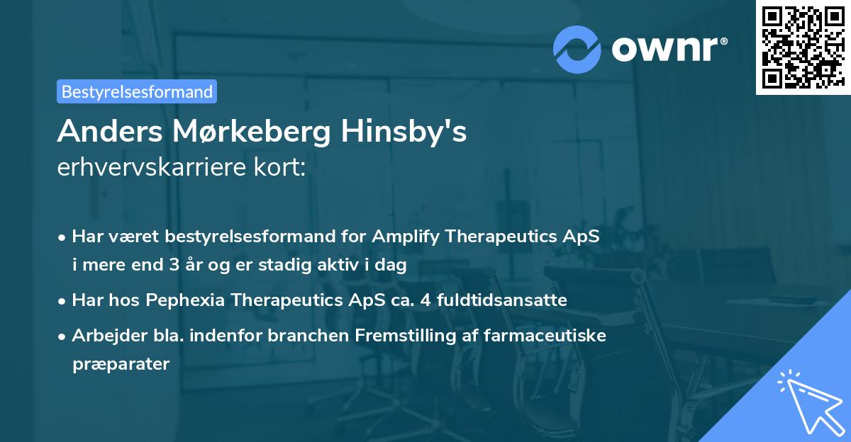 Anders Mørkeberg Hinsby's erhvervskarriere kort