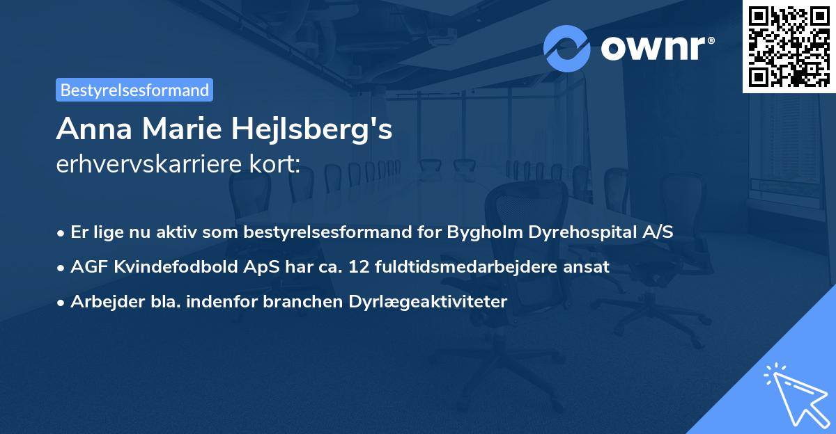 Anna Marie Hejlsberg's erhvervskarriere kort