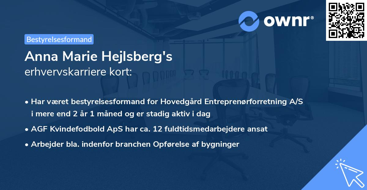 Anna Marie Hejlsberg's erhvervskarriere kort