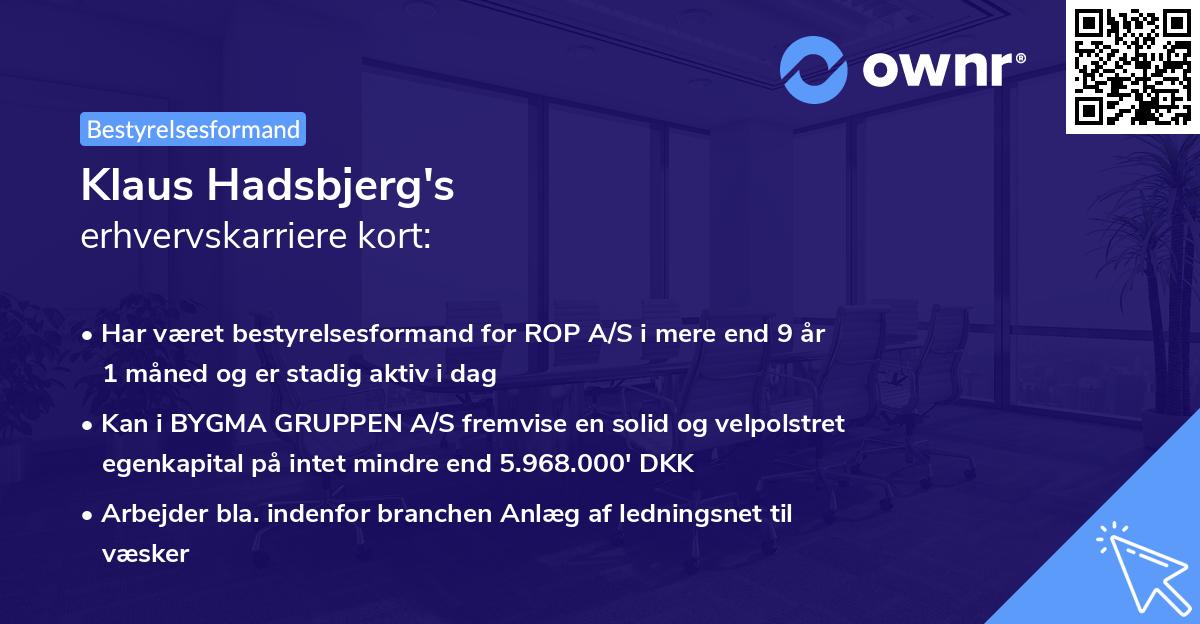 Klaus Hadsbjerg's erhvervskarriere kort