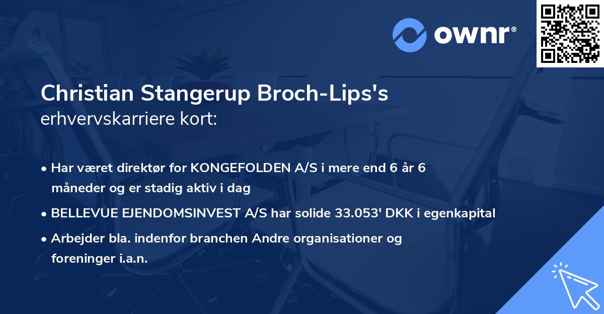 Christian Stangerup Broch-Lips's erhvervskarriere kort