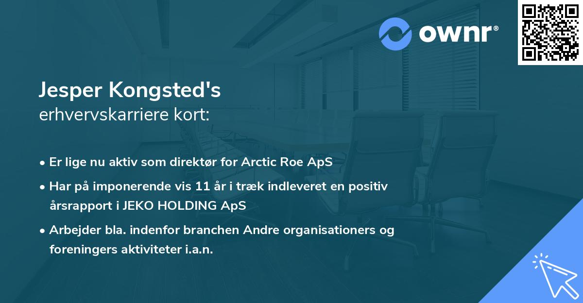 Jesper Kongsted's erhvervskarriere kort