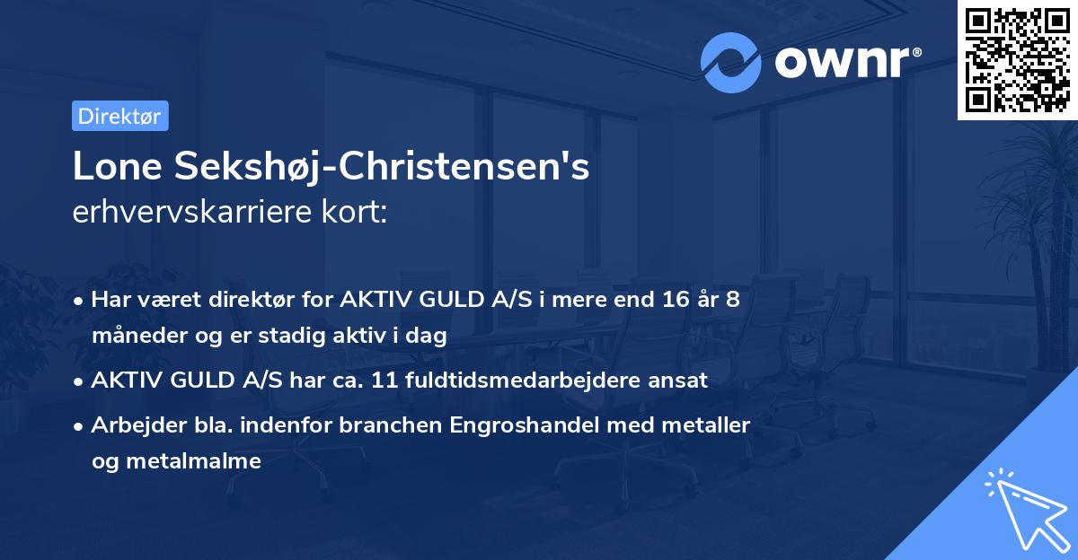 Lone Sekshøj-Christensen's erhvervskarriere kort
