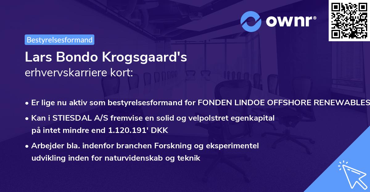 Lars Bondo Krogsgaard's erhvervskarriere kort