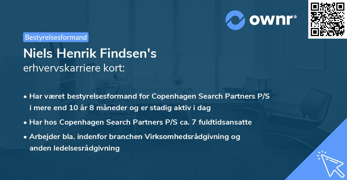 Niels Henrik Findsen's erhvervskarriere kort