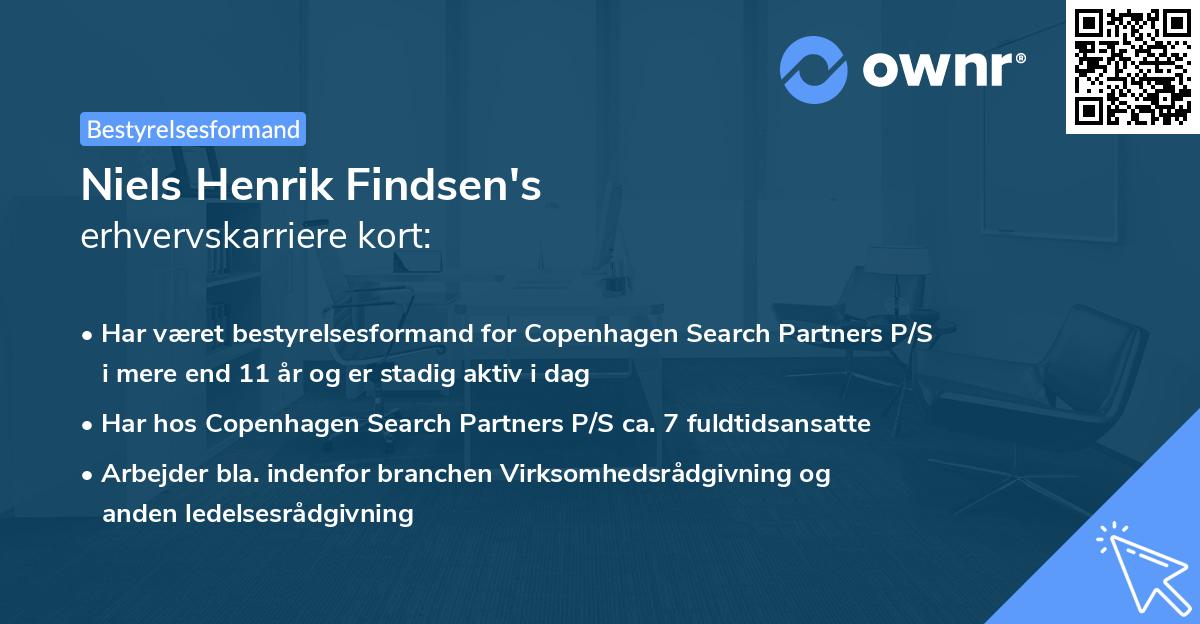 Niels Henrik Findsen's erhvervskarriere kort