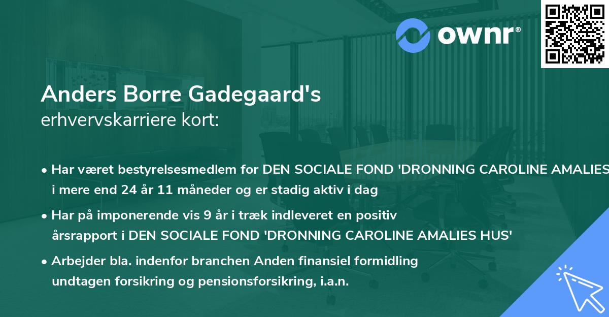 Anders Borre Gadegaard's erhvervskarriere kort