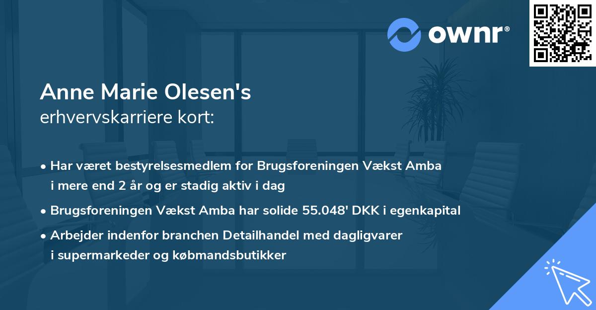 Anne Marie Olesen's erhvervskarriere kort