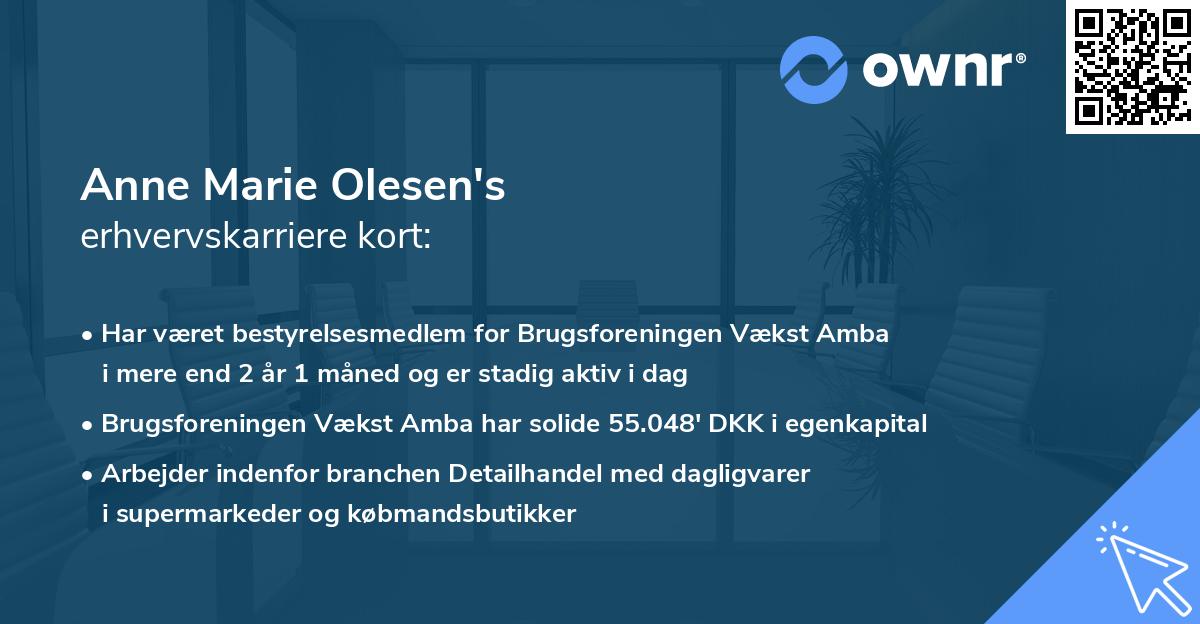 Anne Marie Olesen's erhvervskarriere kort