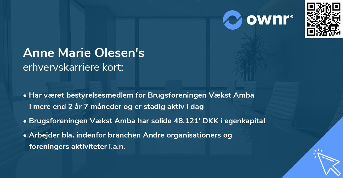 Anne Marie Olesen's erhvervskarriere kort