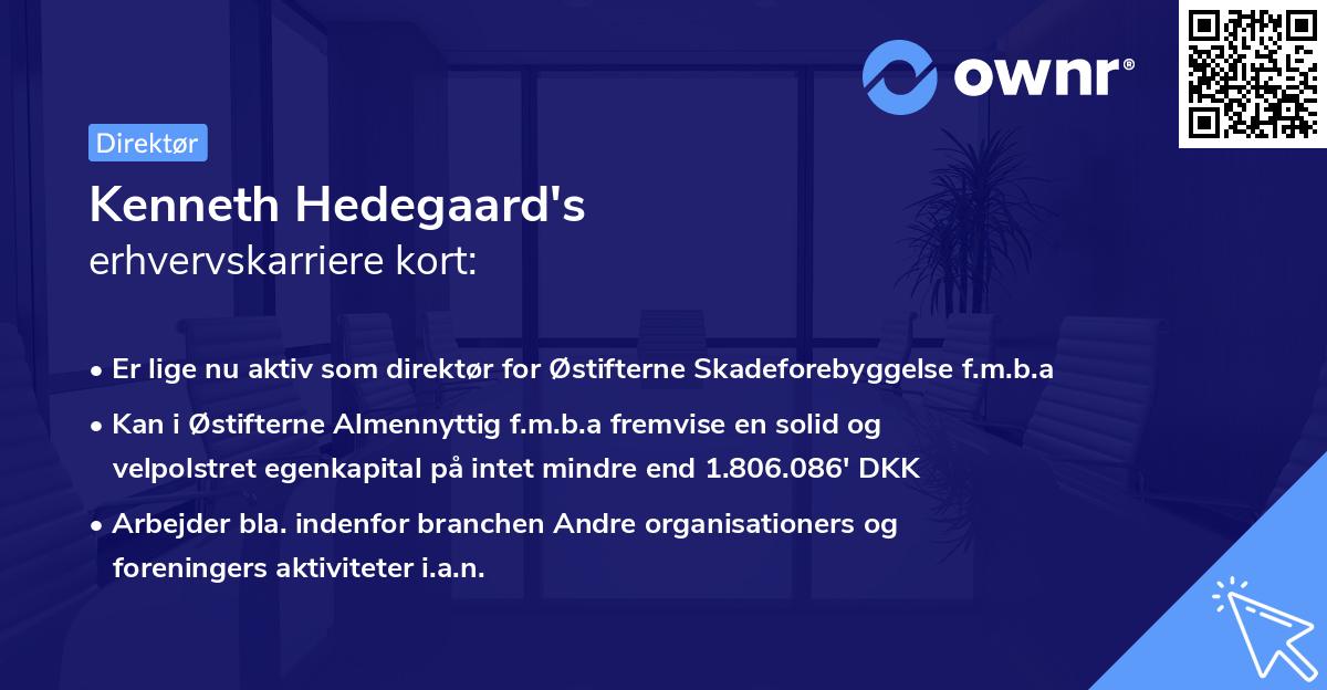 Kenneth Hedegaard's erhvervskarriere kort