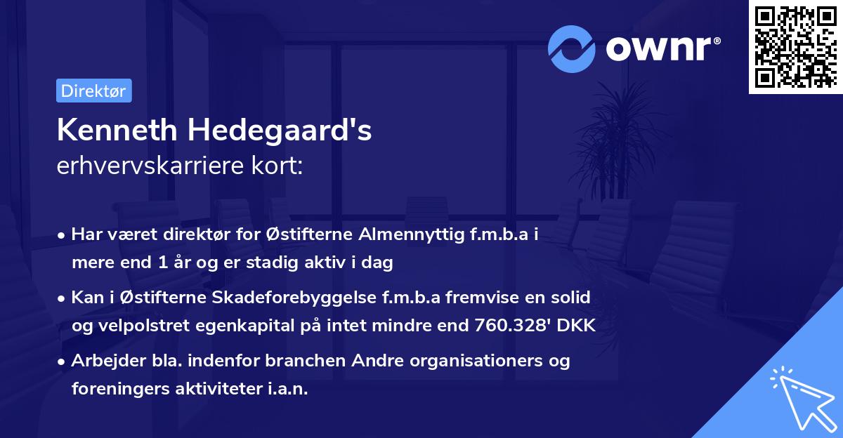Kenneth Hedegaard's erhvervskarriere kort