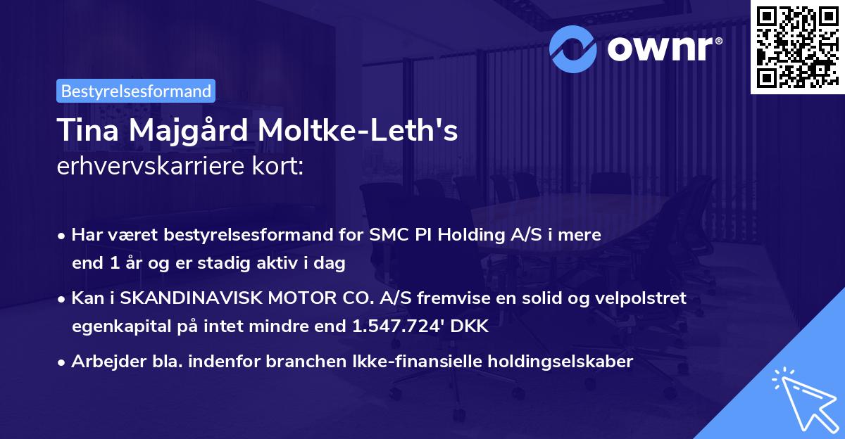 Tina Majgård Moltke-Leth's erhvervskarriere kort