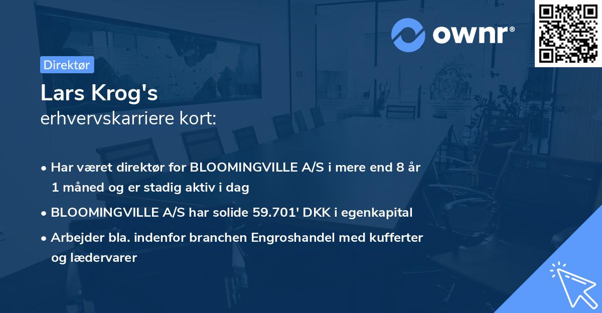 Lars Krog's erhvervskarriere kort