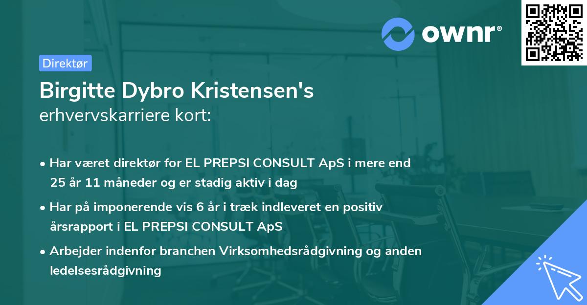 Birgitte Dybro Kristensen's erhvervskarriere kort