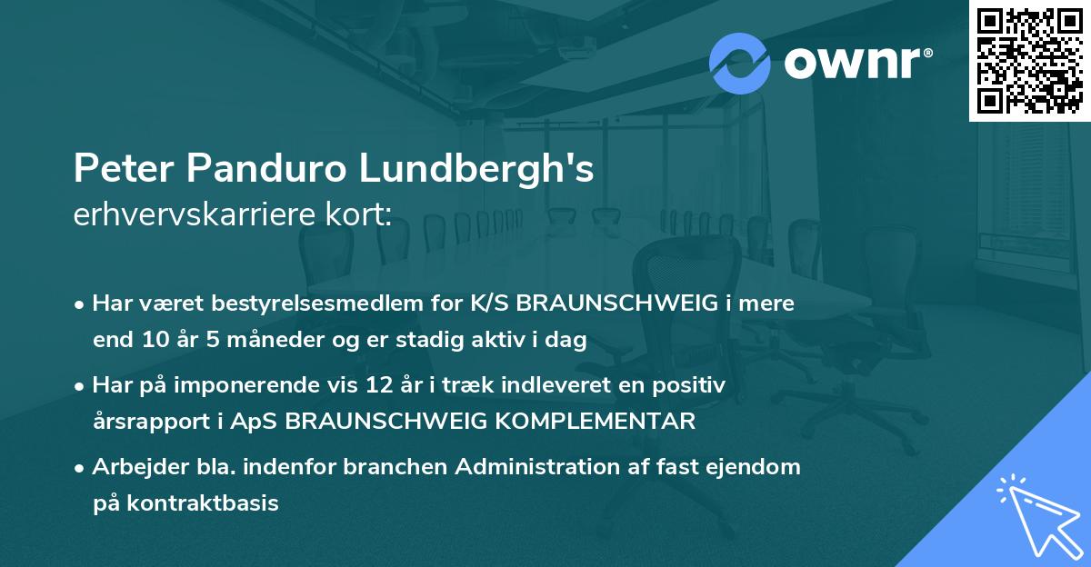 Peter Panduro Lundbergh's erhvervskarriere kort