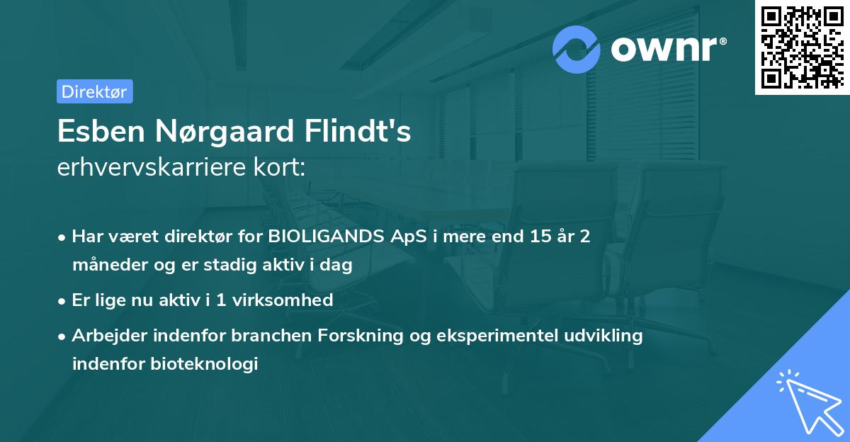 Esben Nørgaard Flindt's erhvervskarriere kort