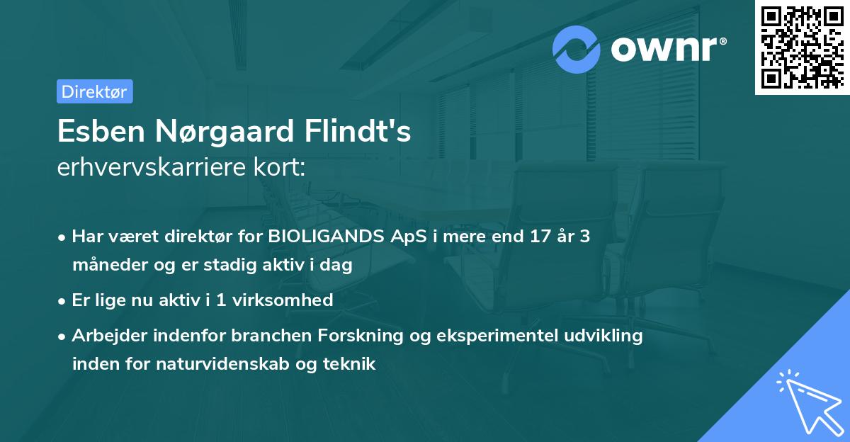 Esben Nørgaard Flindt's erhvervskarriere kort