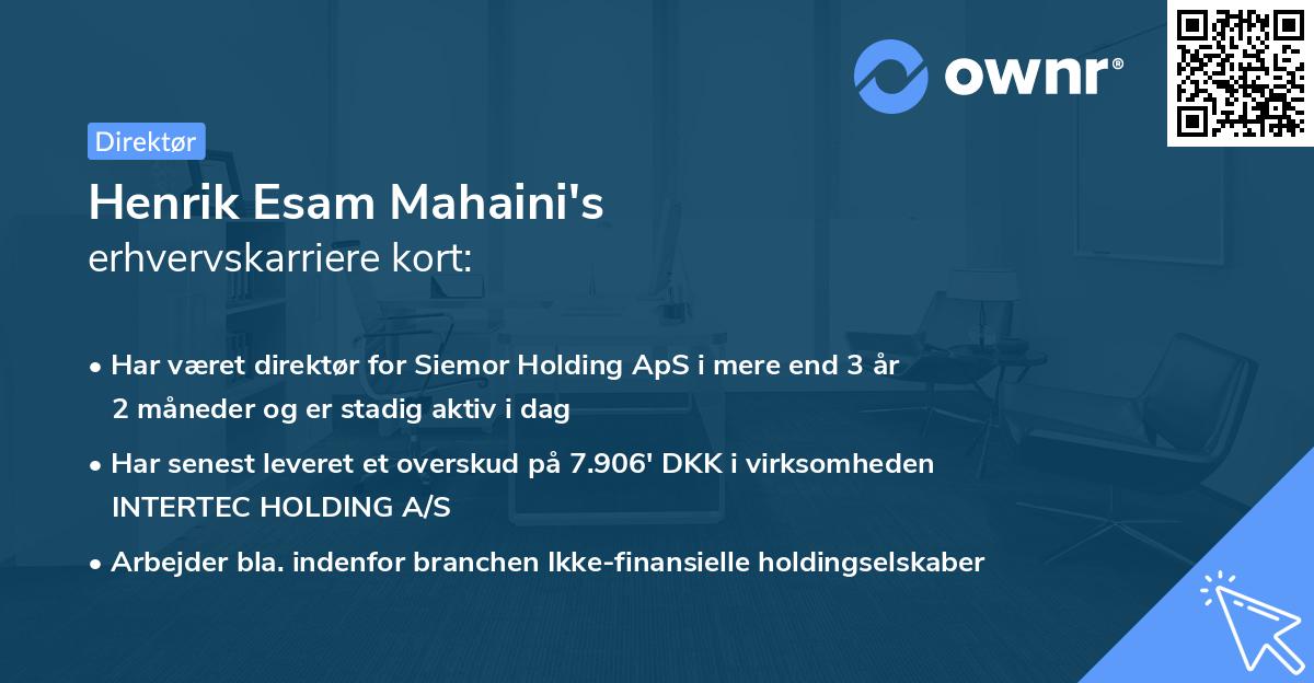 Henrik Esam Mahaini's erhvervskarriere kort