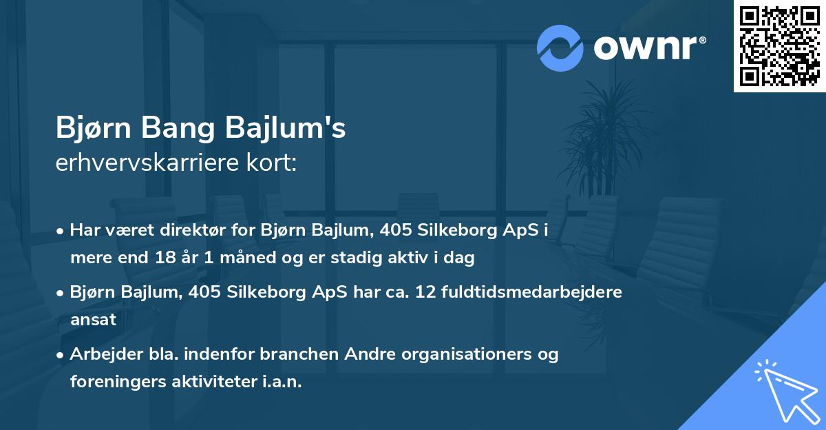 Bjørn Bang Bajlum's erhvervskarriere kort