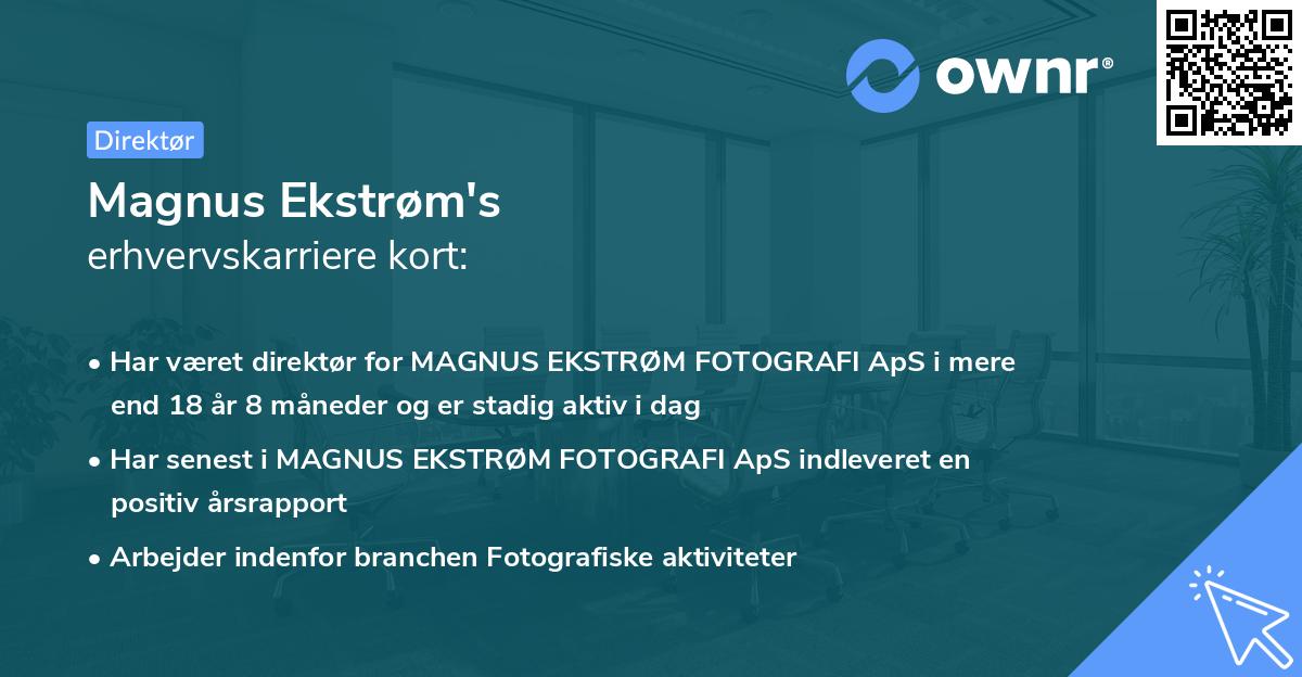 Magnus Ekstrøm's erhvervskarriere kort