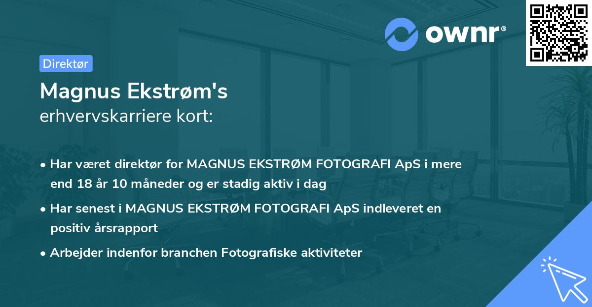Magnus Ekstrøm's erhvervskarriere kort