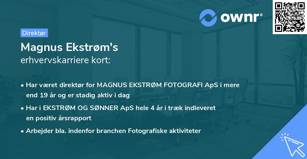 Magnus Ekstrøm's erhvervskarriere kort