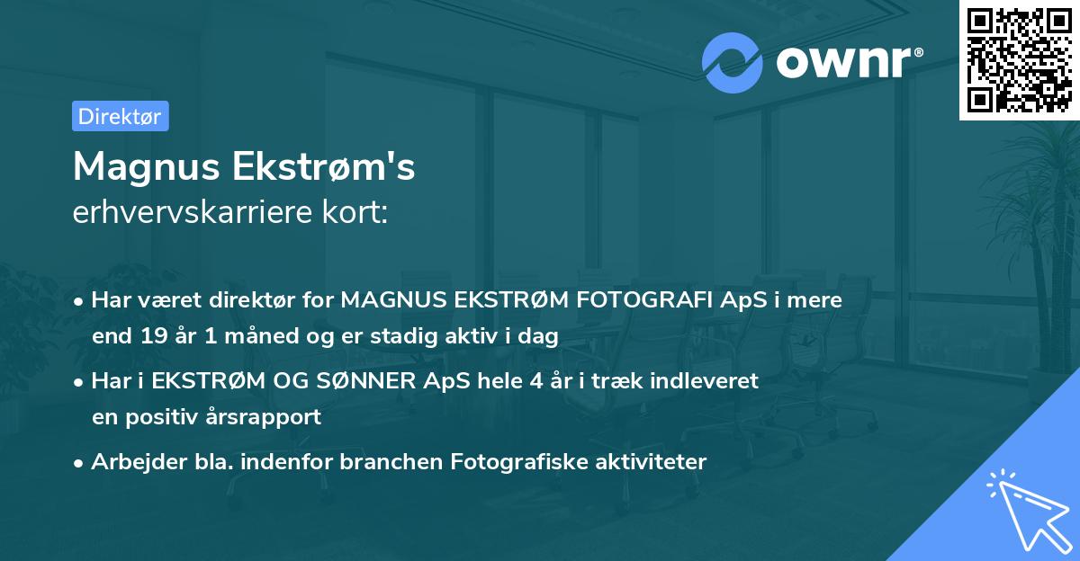 Magnus Ekstrøm's erhvervskarriere kort