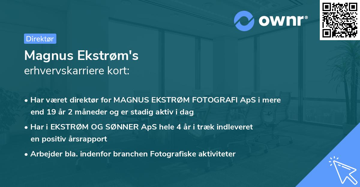 Magnus Ekstrøm's erhvervskarriere kort