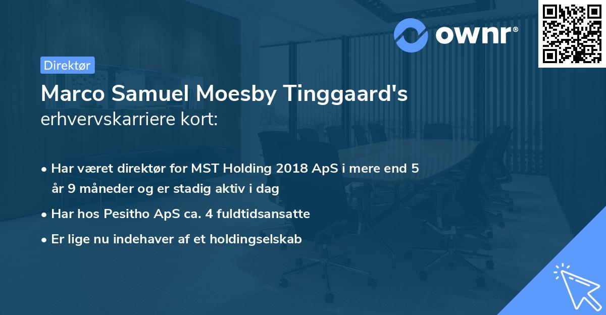 Marco Samuel Moesby Tinggaard's erhvervskarriere kort