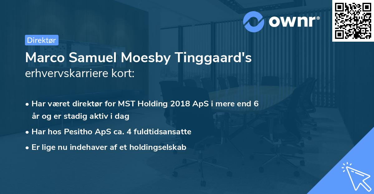 Marco Samuel Moesby Tinggaard's erhvervskarriere kort