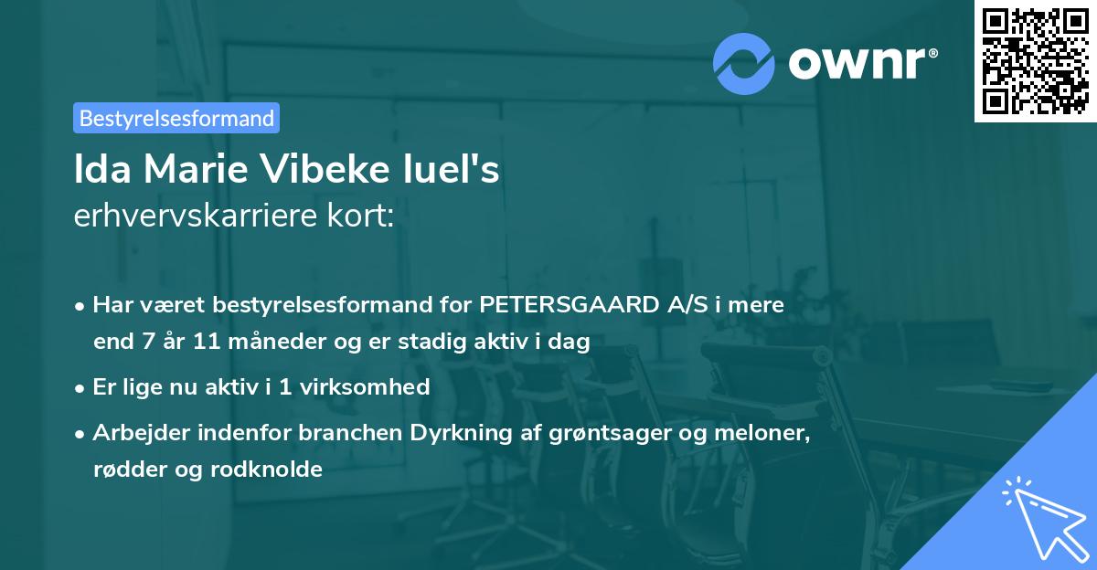 Ida Marie Vibeke Iuel's erhvervskarriere kort