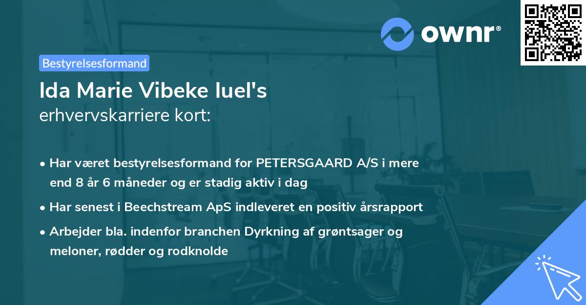 Ida Marie Vibeke Iuel's erhvervskarriere kort