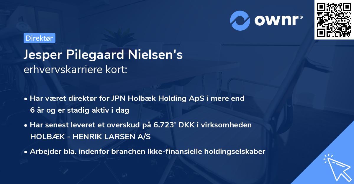 Jesper Pilegaard Nielsen's erhvervskarriere kort