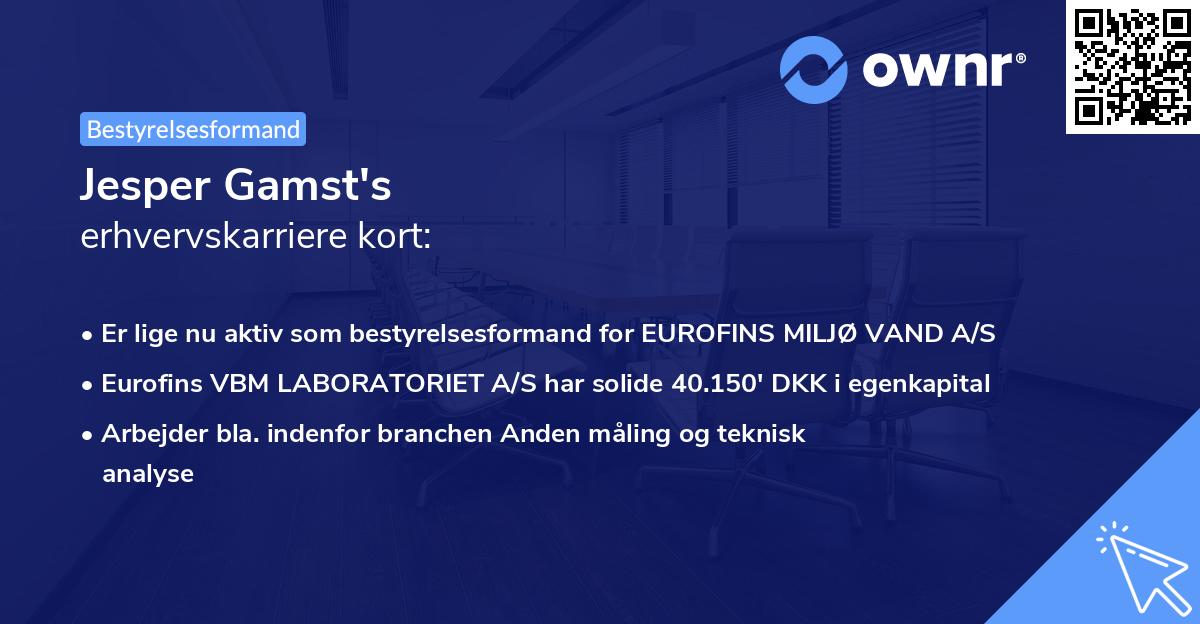 Jesper Gamst's erhvervskarriere kort