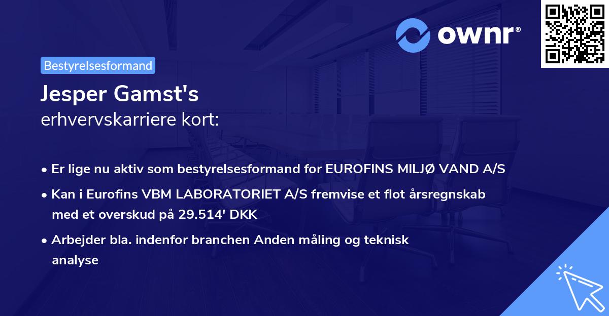 Jesper Gamst's erhvervskarriere kort