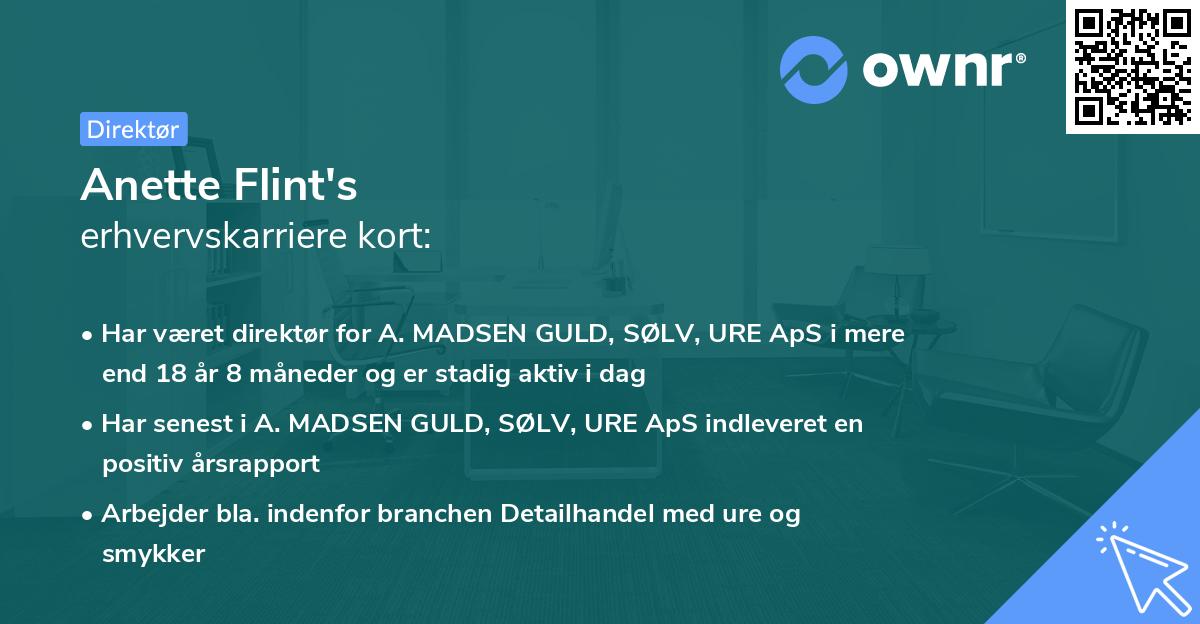 Anette Flint's erhvervskarriere kort